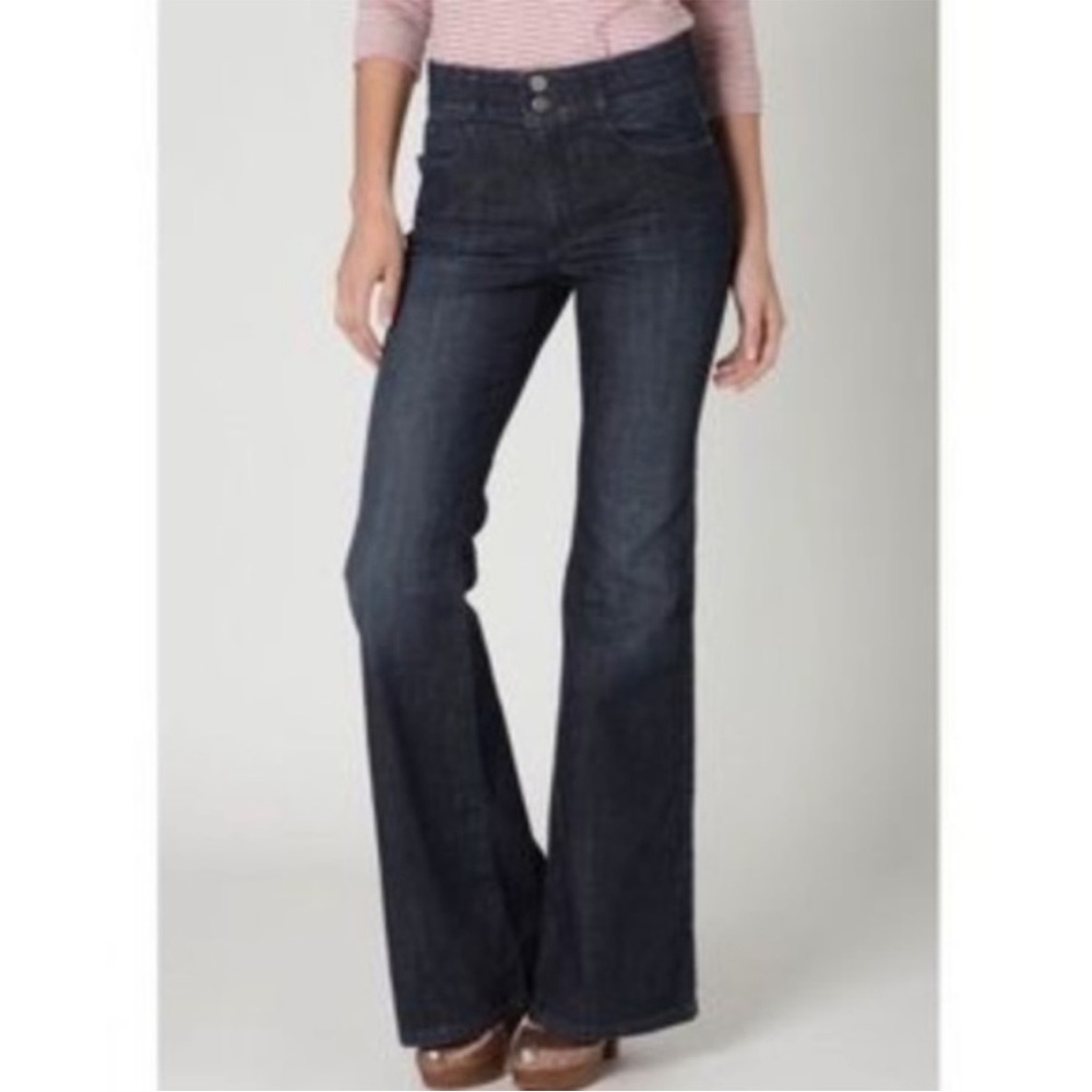 Anthropologie Pilcro and the Letterpress Superscript Jeans Size 26